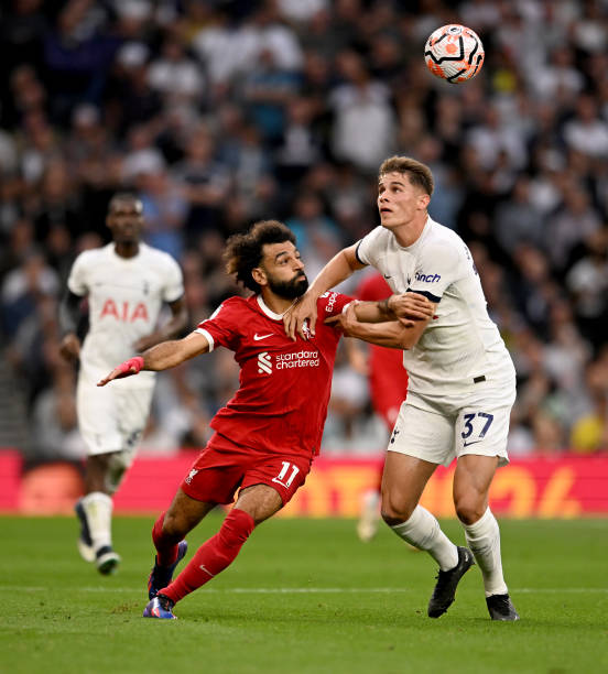 情绪管理 情绪管理