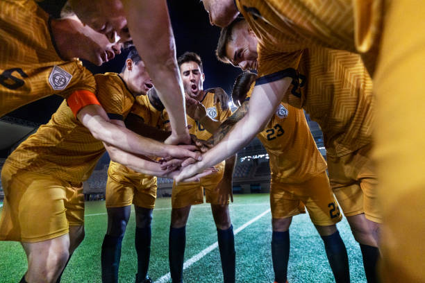 能力让博洛 能力让博洛